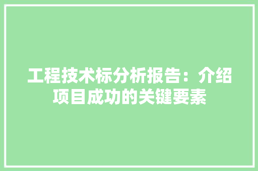 工程技术标分析报告：介绍项目成功的关键要素 现代风格装饰