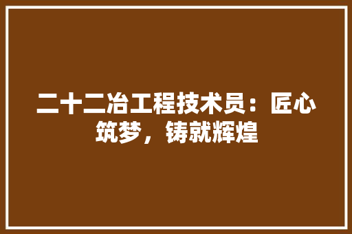 二十二冶工程技术员：匠心筑梦，铸就辉煌 家居装修