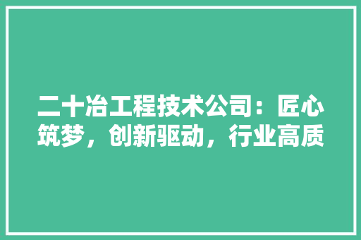 二十冶工程技术公司：匠心筑梦，创新驱动，行业高质量发展 家居装修