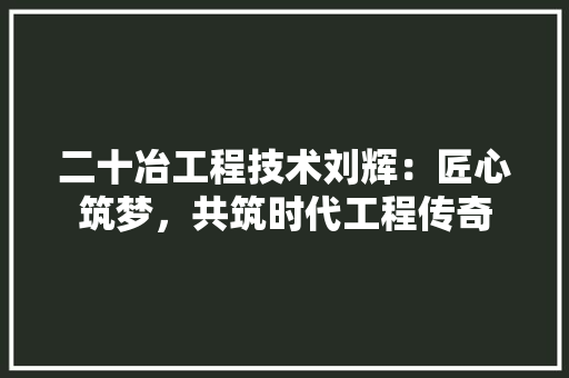 二十冶工程技术刘辉：匠心筑梦，共筑时代工程传奇 家居装修