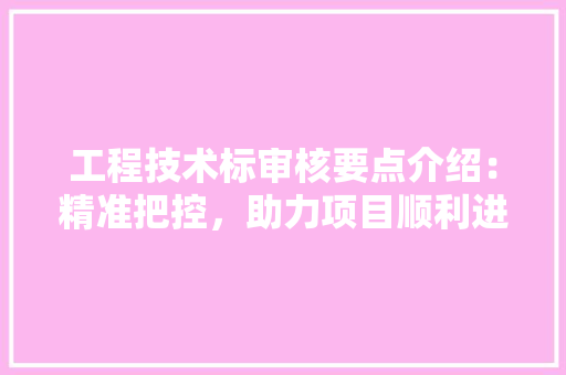 工程技术标审核要点介绍：精准把控，助力项目顺利进行 现代风格装饰