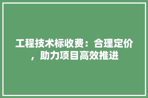 工程技术标收费：合理定价，助力项目高效推进 现代风格装饰