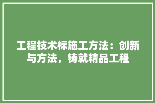 工程技术标施工方法：创新与方法，铸就精品工程 现代风格装饰