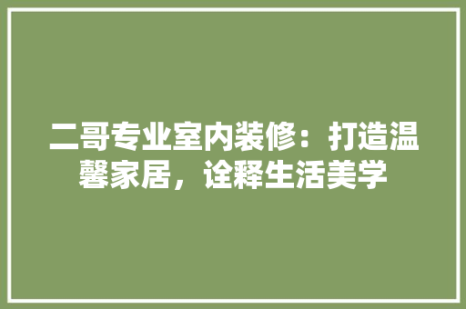 二哥专业室内装修：打造温馨家居，诠释生活美学 家居装修