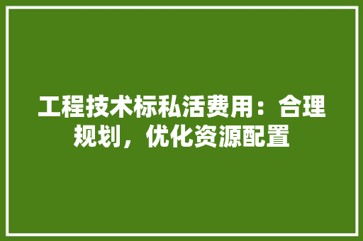 工程技术标私活费用：合理规划，优化资源配置 现代风格装饰