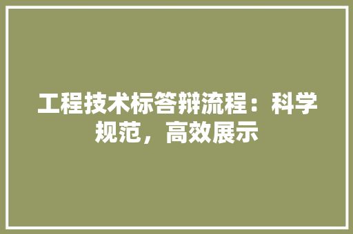 工程技术标答辩流程：科学规范，高效展示 现代风格装饰