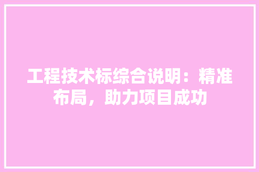 工程技术标综合说明：精准布局，助力项目成功 现代风格装饰