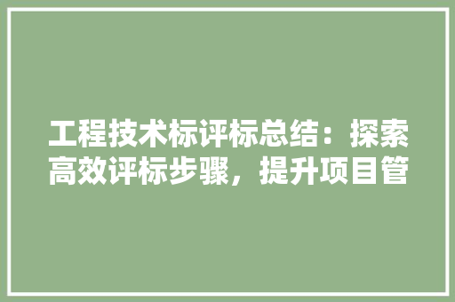 工程技术标评标总结：探索高效评标步骤，提升项目管理水平 现代风格装饰