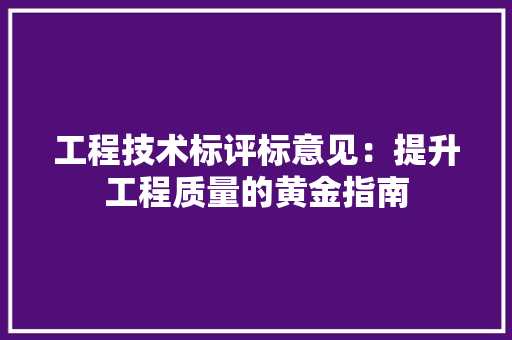 工程技术标评标意见：提升工程质量的黄金指南 现代风格装饰