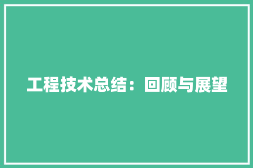 工程技术总结：回顾与展望