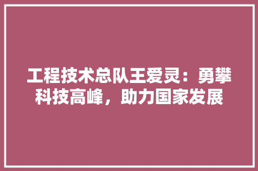 工程技术总队王爱灵：勇攀科技高峰，助力国家发展 现代风格装饰