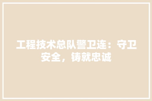 工程技术总队警卫连：守卫安全，铸就忠诚 现代风格装饰