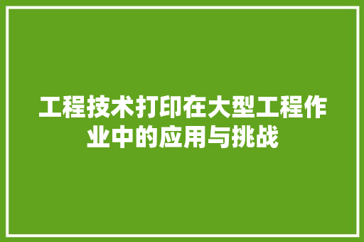 工程技术打印在大型工程作业中的应用与挑战 现代风格装饰