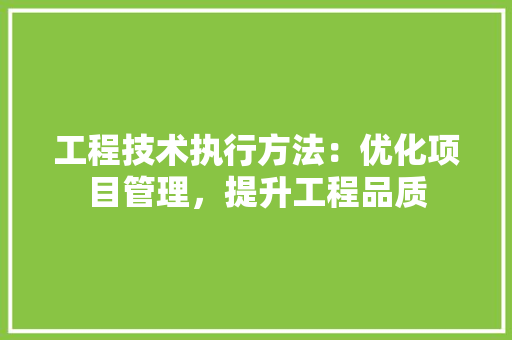 工程技术执行方法：优化项目管理，提升工程品质 现代风格装饰