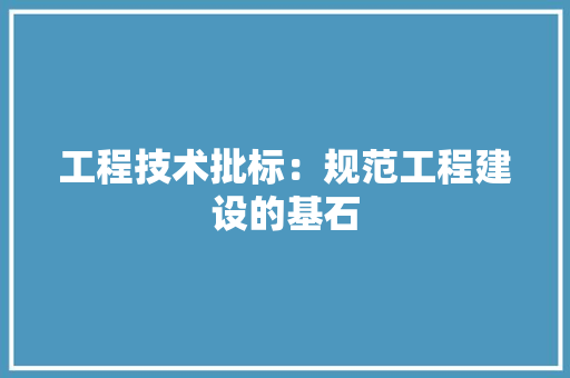 工程技术批标：规范工程建设的基石 现代风格装饰