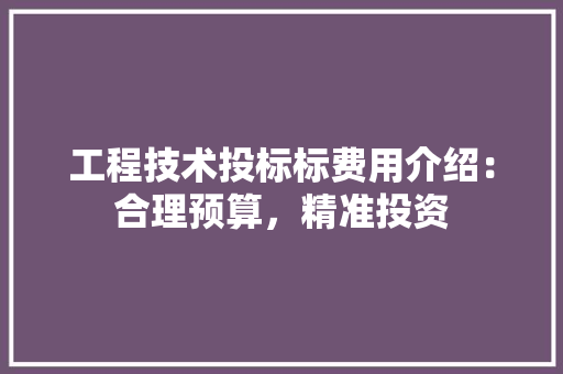工程技术投标标费用介绍：合理预算，精准投资 现代风格装饰