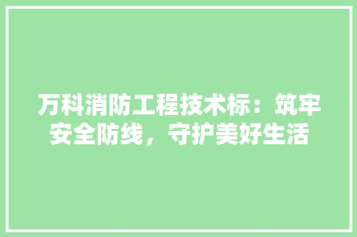 万科消防工程技术标：筑牢安全防线，守护美好生活 软装设计