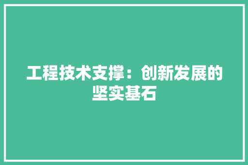 工程技术支撑：创新发展的坚实基石 现代风格装饰
