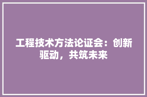 工程技术方法论证会：创新驱动，共筑未来 现代风格装饰