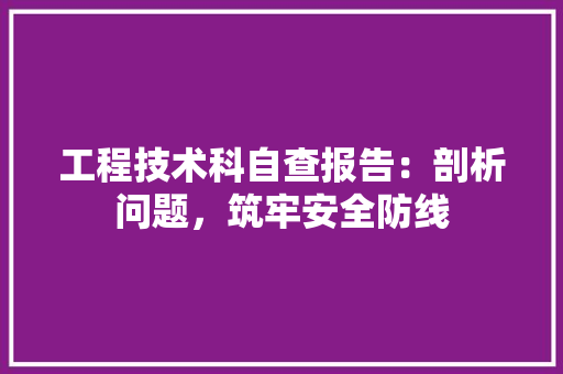 工程技术科自查报告：剖析问题，筑牢安全防线 现代风格装饰