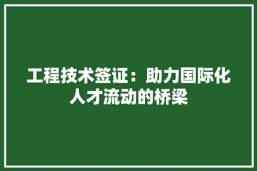 工程技术签证：助力国际化人才流动的桥梁 现代风格装饰