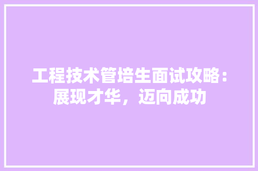 工程技术管培生面试攻略：展现才华，迈向成功 现代风格装饰