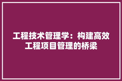 工程技术管理学：构建高效工程项目管理的桥梁 现代风格装饰