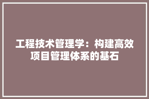 工程技术管理学：构建高效项目管理体系的基石 现代风格装饰