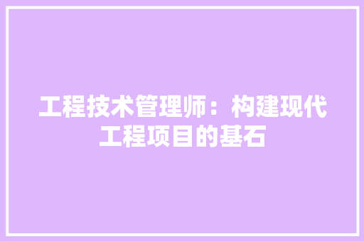 工程技术管理师：构建现代工程项目的基石 现代风格装饰