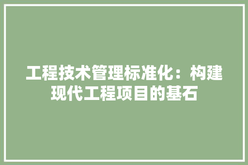 工程技术管理标准化：构建现代工程项目的基石 现代风格装饰