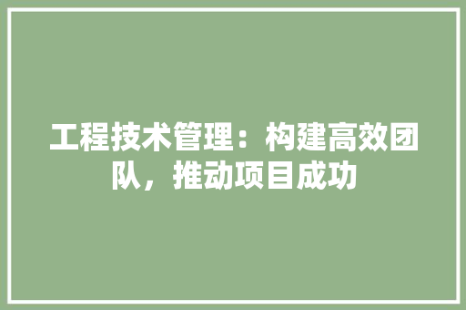 工程技术管理：构建高效团队，推动项目成功 现代风格装饰