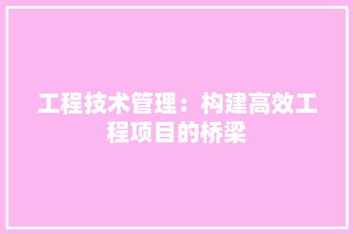 工程技术管理：构建高效工程项目的桥梁 现代风格装饰