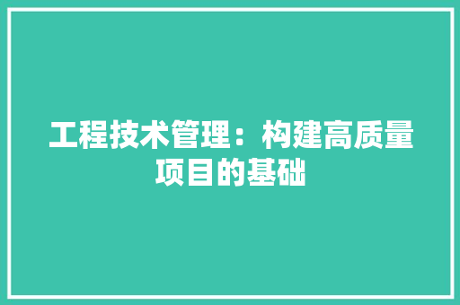 工程技术管理：构建高质量项目的基础 现代风格装饰