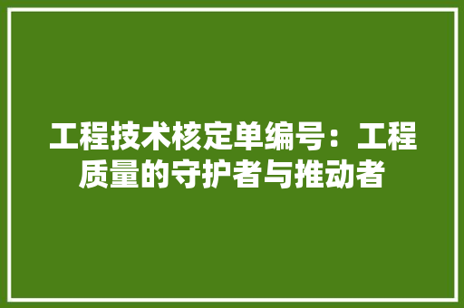 工程技术核定单编号：工程质量的守护者与推动者 现代风格装饰