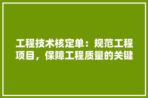 工程技术核定单：规范工程项目，保障工程质量的关键保障 现代风格装饰