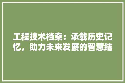 工程技术档案：承载历史记忆，助力未来发展的智慧结晶 现代风格装饰