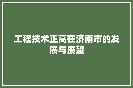 工程技术正高在济南市的发展与展望 现代风格装饰