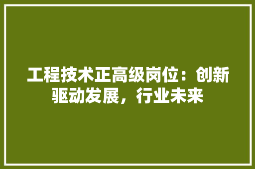 工程技术正高级岗位：创新驱动发展，行业未来 现代风格装饰