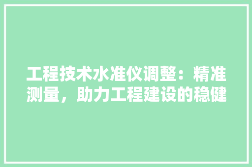 工程技术水准仪调整：精准测量，助力工程建设的稳健步伐 现代风格装饰