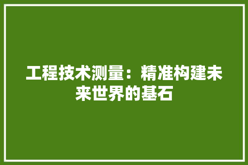 工程技术测量：精准构建未来世界的基石 现代风格装饰