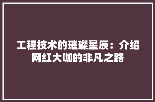 工程技术的璀璨星辰：介绍网红大咖的非凡之路 现代风格装饰