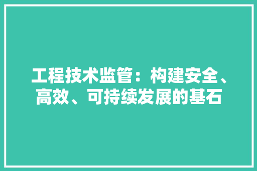 工程技术监管：构建安全、高效、可持续发展的基石 现代风格装饰