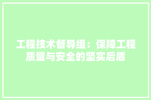 工程技术督导组：保障工程质量与安全的坚实后盾