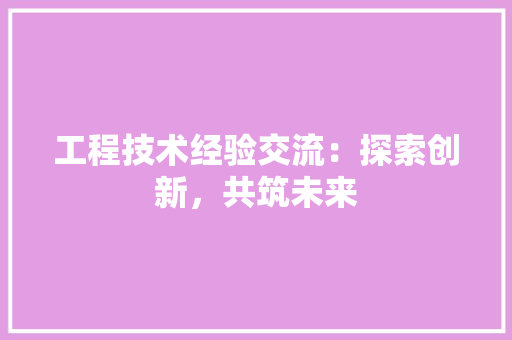 工程技术经验交流：探索创新，共筑未来 现代风格装饰