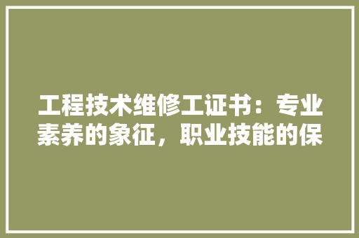 工程技术维修工证书：专业素养的象征，职业技能的保障 现代风格装饰