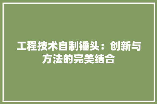 工程技术自制锤头：创新与方法的完美结合 现代风格装饰