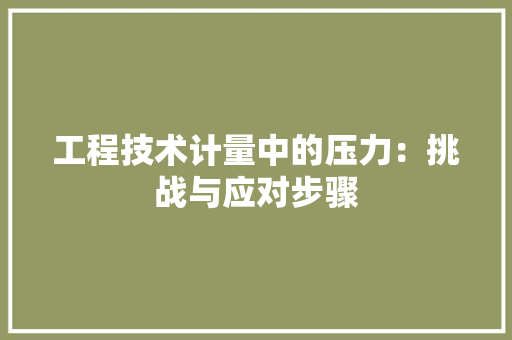 工程技术计量中的压力：挑战与应对步骤 现代风格装饰