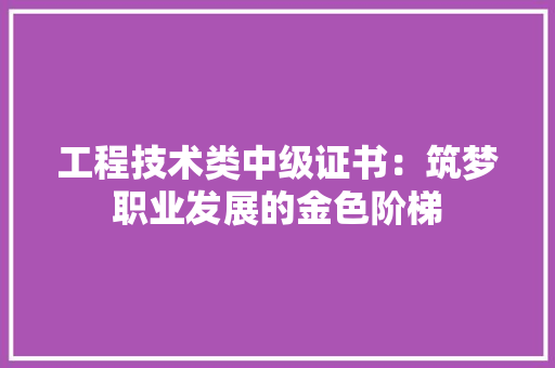 工程技术类中级证书：筑梦职业发展的金色阶梯 现代风格装饰