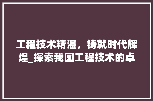 工程技术精湛，铸就时代辉煌_探索我国工程技术的卓越成就 现代风格装饰