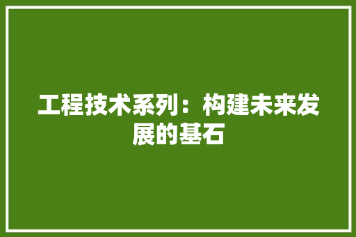 工程技术系列：构建未来发展的基石 现代风格装饰